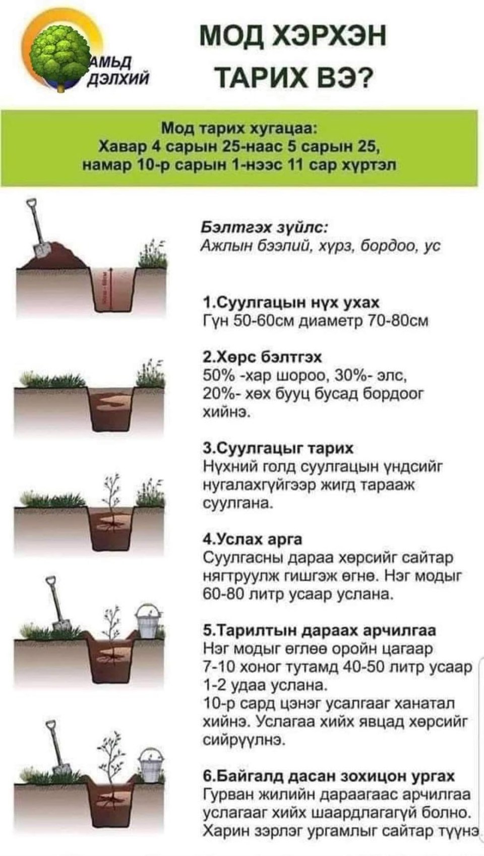 БҮХ НИЙТИЙН МОД ТАРИХ ӨДӨРТ: Мод хэрхэн тарих вэ?