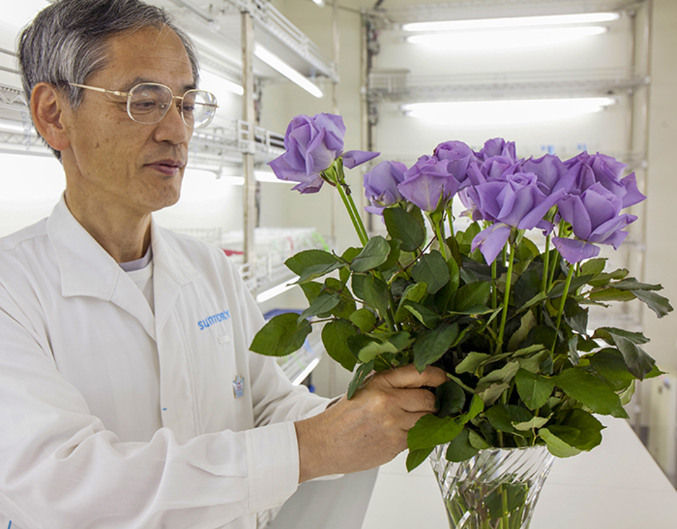 Генийн инженерчлэл, генетик өөрчлөлттэй бие махбодь