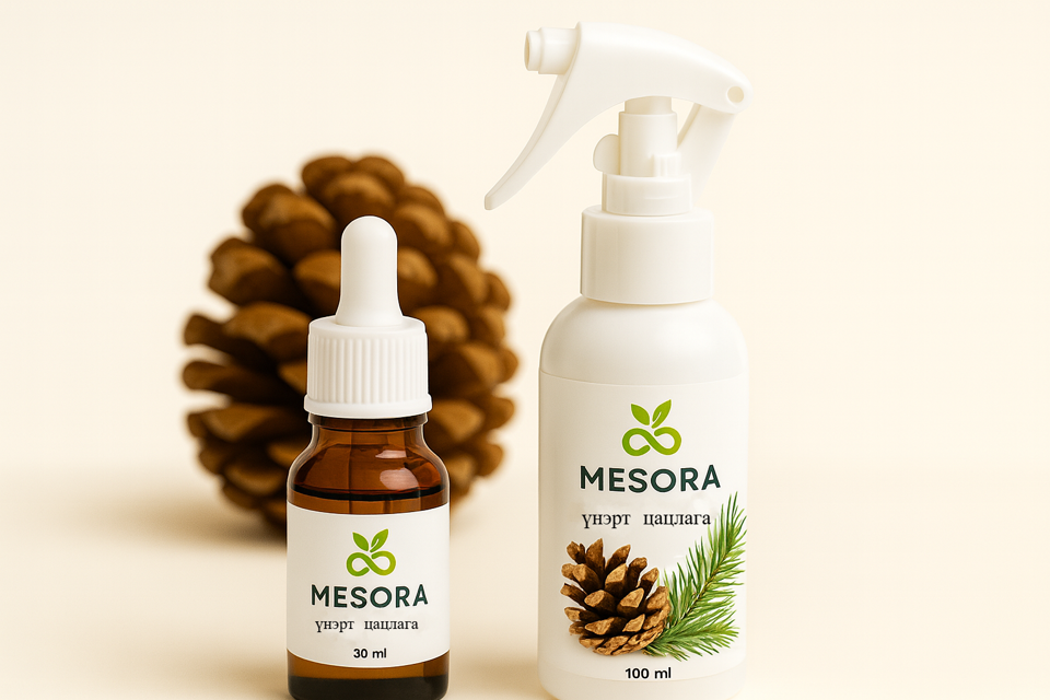 ҮНЭРТ ЦАЦЛАГА