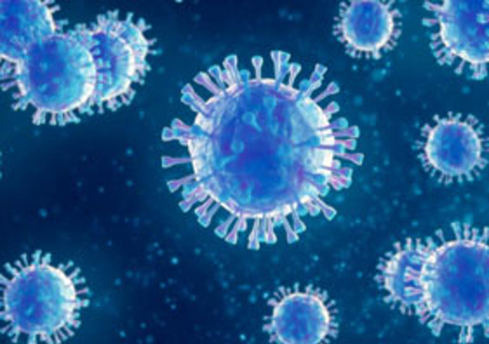 COVID- 19 БА НИЙГЭМ